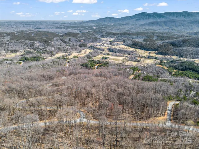 a view of a dry yard with trees and wooden fence