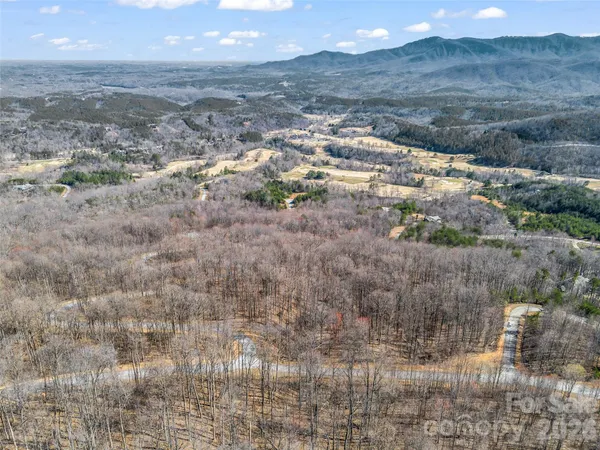 a view of a dry yard with trees and wooden fence