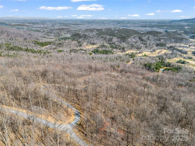 a view of a dry yard with trees and wooden fence