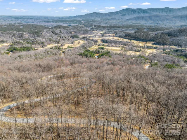 a view of a dry yard