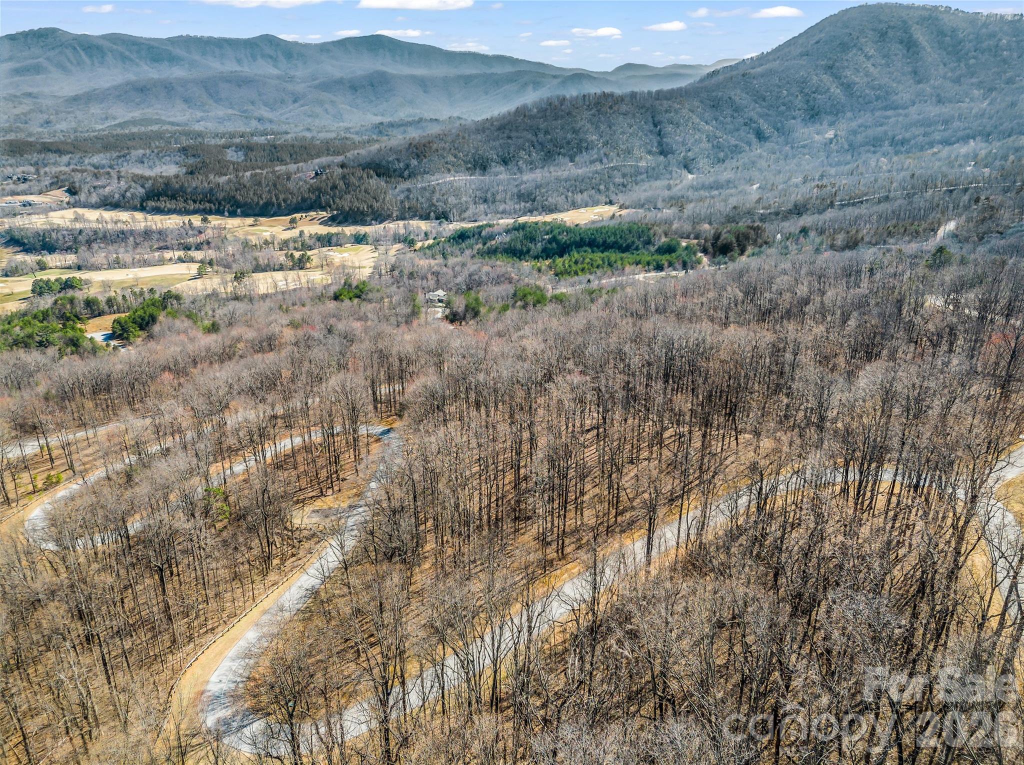183 Chesterfield Drive, Unit 183 Mill Spring, NC 28756 - Photo 20 of 35 a view of mountain view with lots of trees