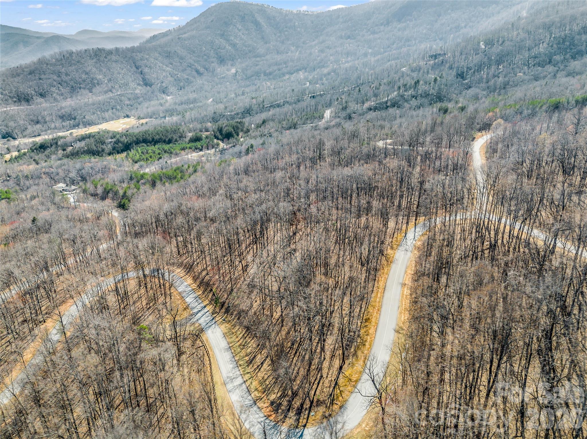 183 Chesterfield Drive, Unit 183 Mill Spring, NC 28756 - Photo 21 of 35 a view of a dry yard with trees and wooden fence