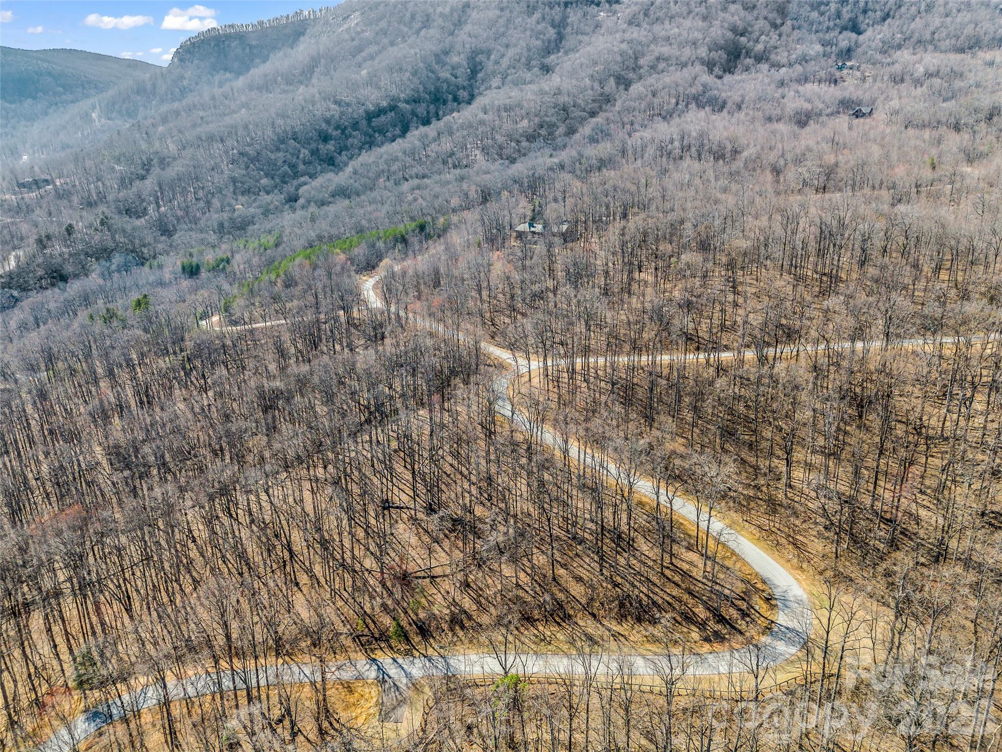 183 Chesterfield Drive, Unit 183 Mill Spring, NC 28756 - Photo 22 of 35 a view of a yard