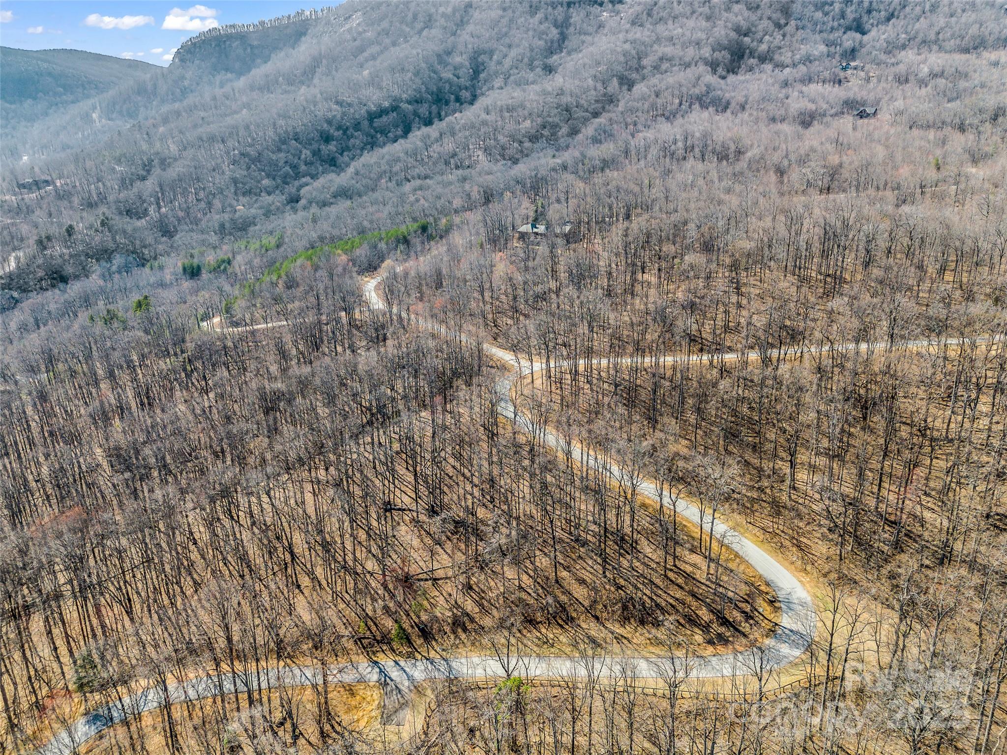 183 Chesterfield Drive, Unit 183 Mill Spring, NC 28756 - Photo 22 of 28