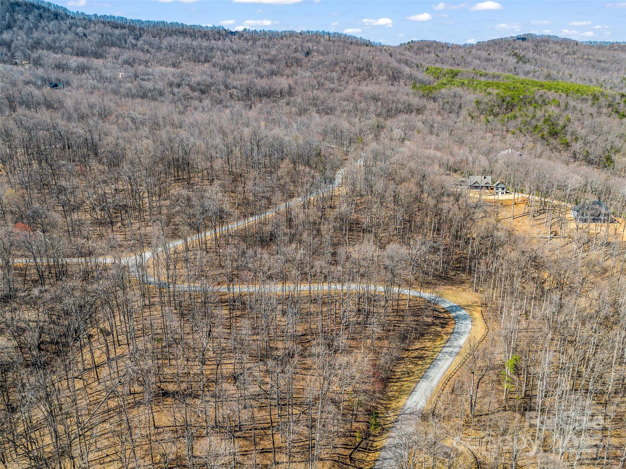183 Chesterfield Drive, Unit 183 Mill Spring, NC 28756 - Photo 23 of 28