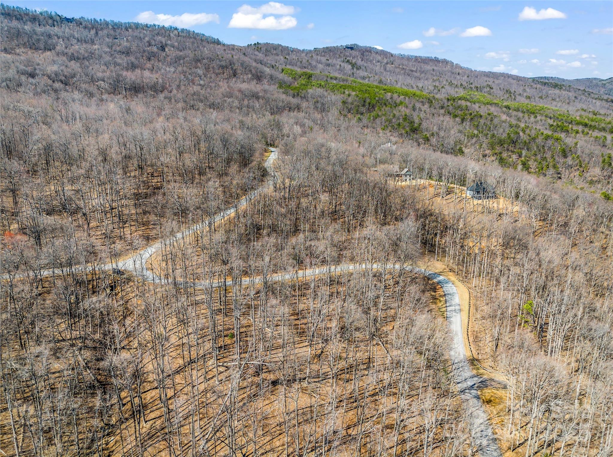 183 Chesterfield Drive, Unit 183 Mill Spring, NC 28756 - Photo 24 of 28