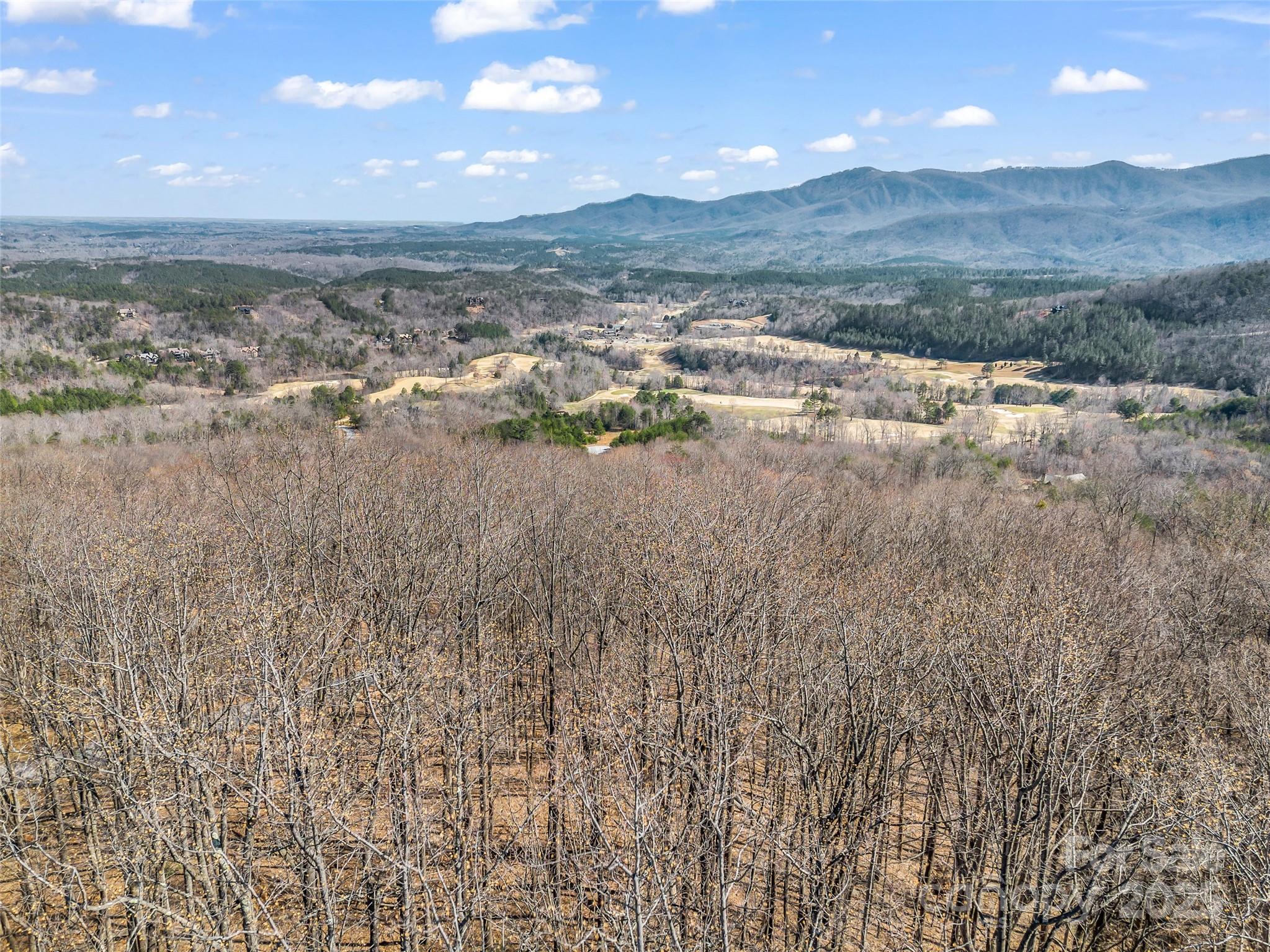 183 Chesterfield Drive, Unit 183 Mill Spring, NC 28756 - Photo 25 of 28