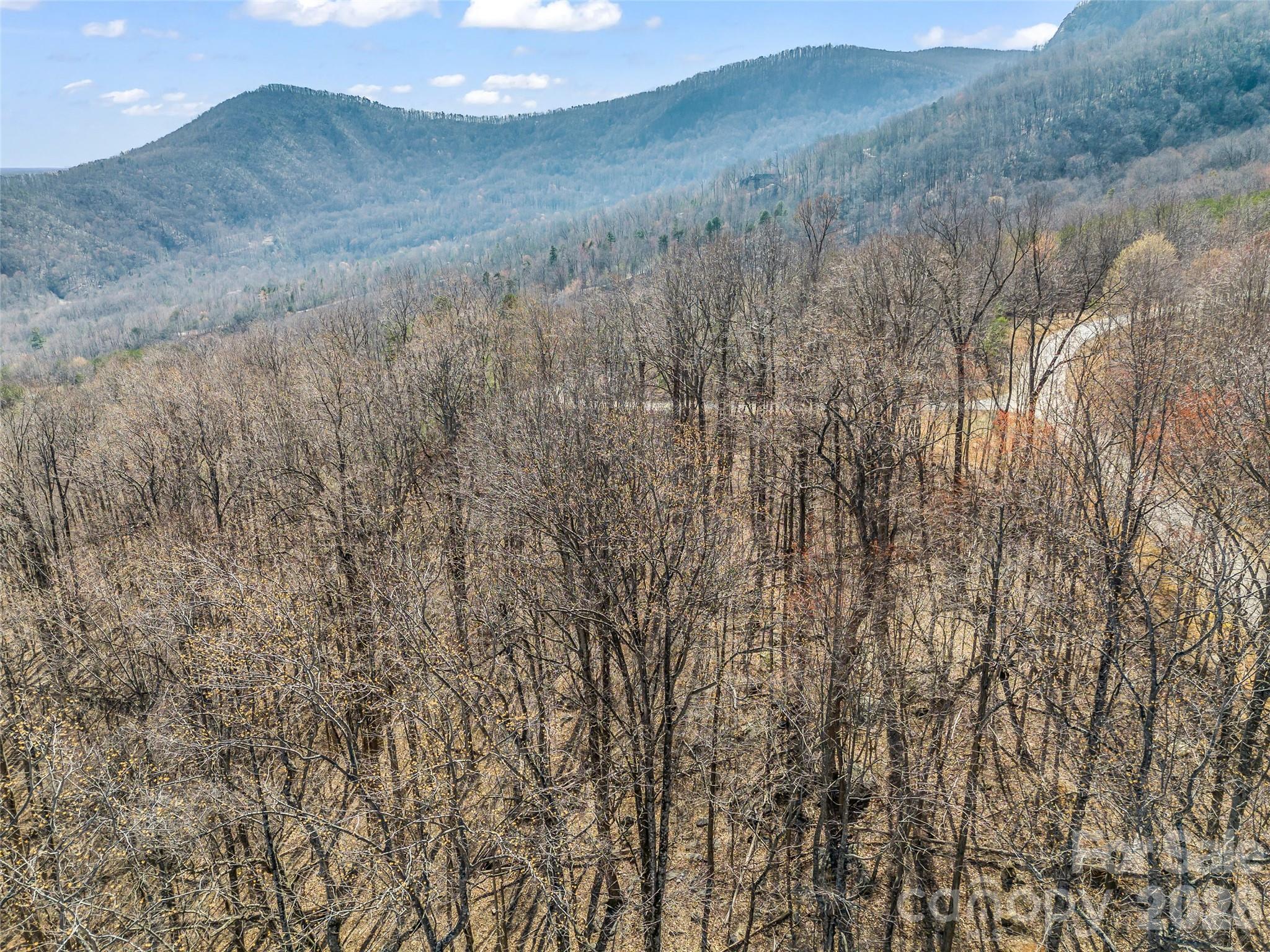 183 Chesterfield Drive, Unit 183 Mill Spring, NC 28756 - Photo 27 of 35 a view of a dry yard with mountains in the background