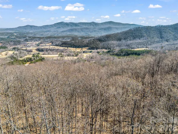 a room with lots of flowers and wooden floor