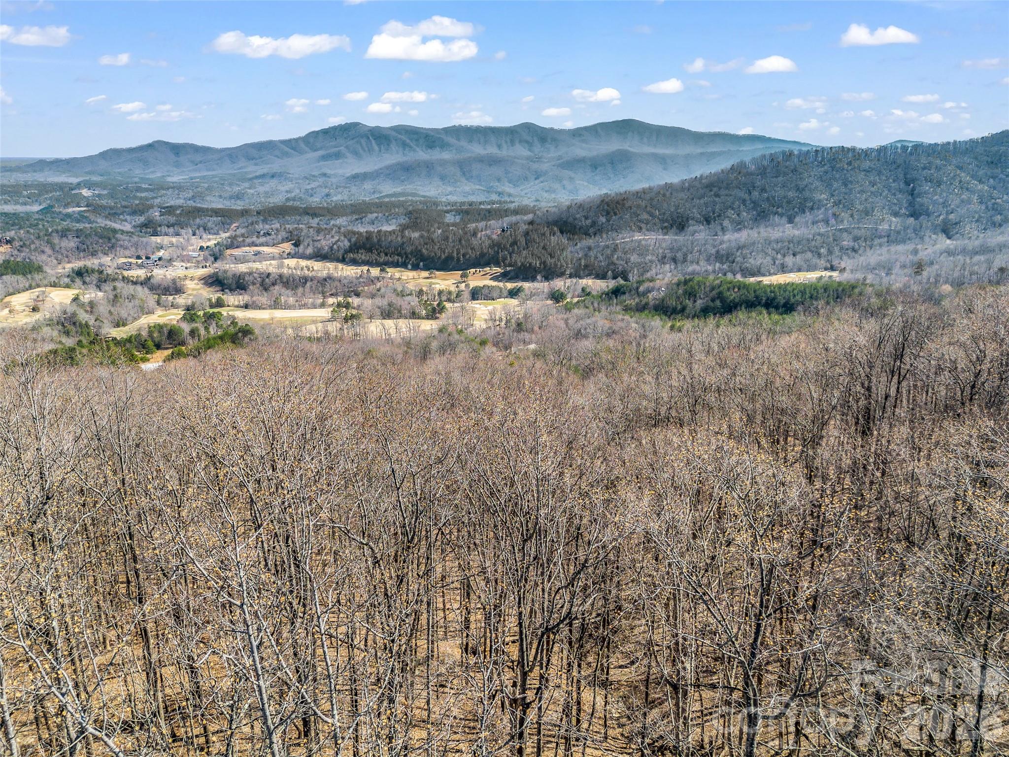 183 Chesterfield Drive, Unit 183 Mill Spring, NC 28756 - Photo 28 of 35 a view of lot of outdoor space and mountain view