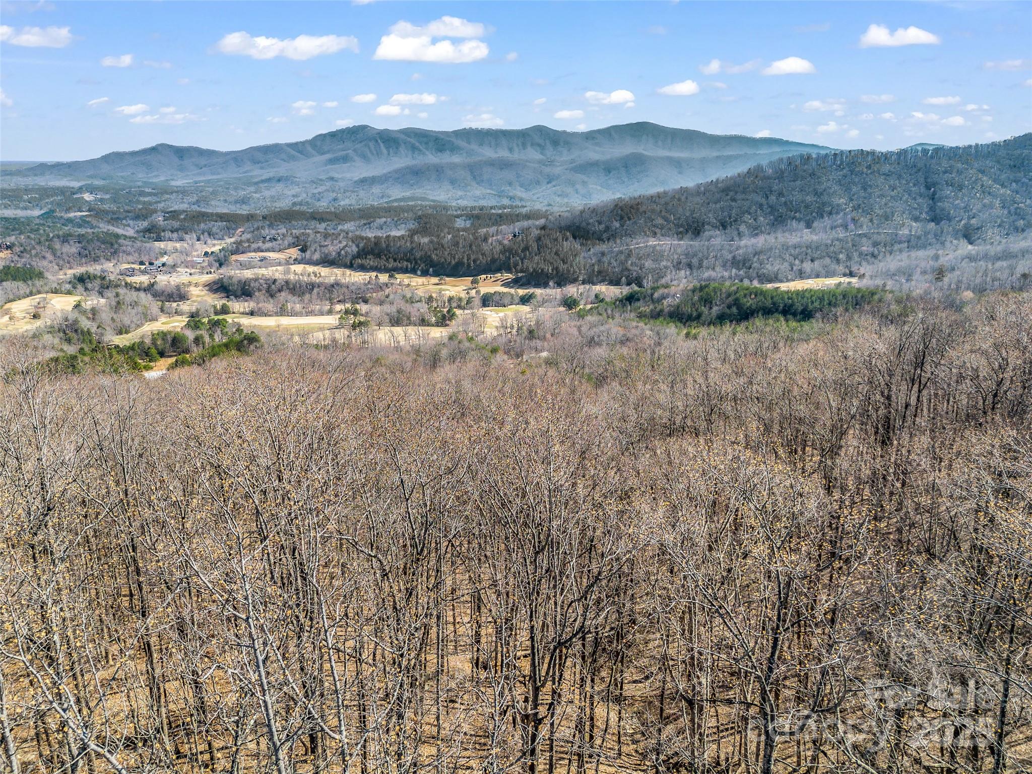 183 Chesterfield Drive, Unit 183 Mill Spring, NC 28756 - Photo 28 of 28