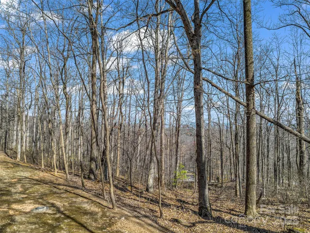 a view of a backyard of the house