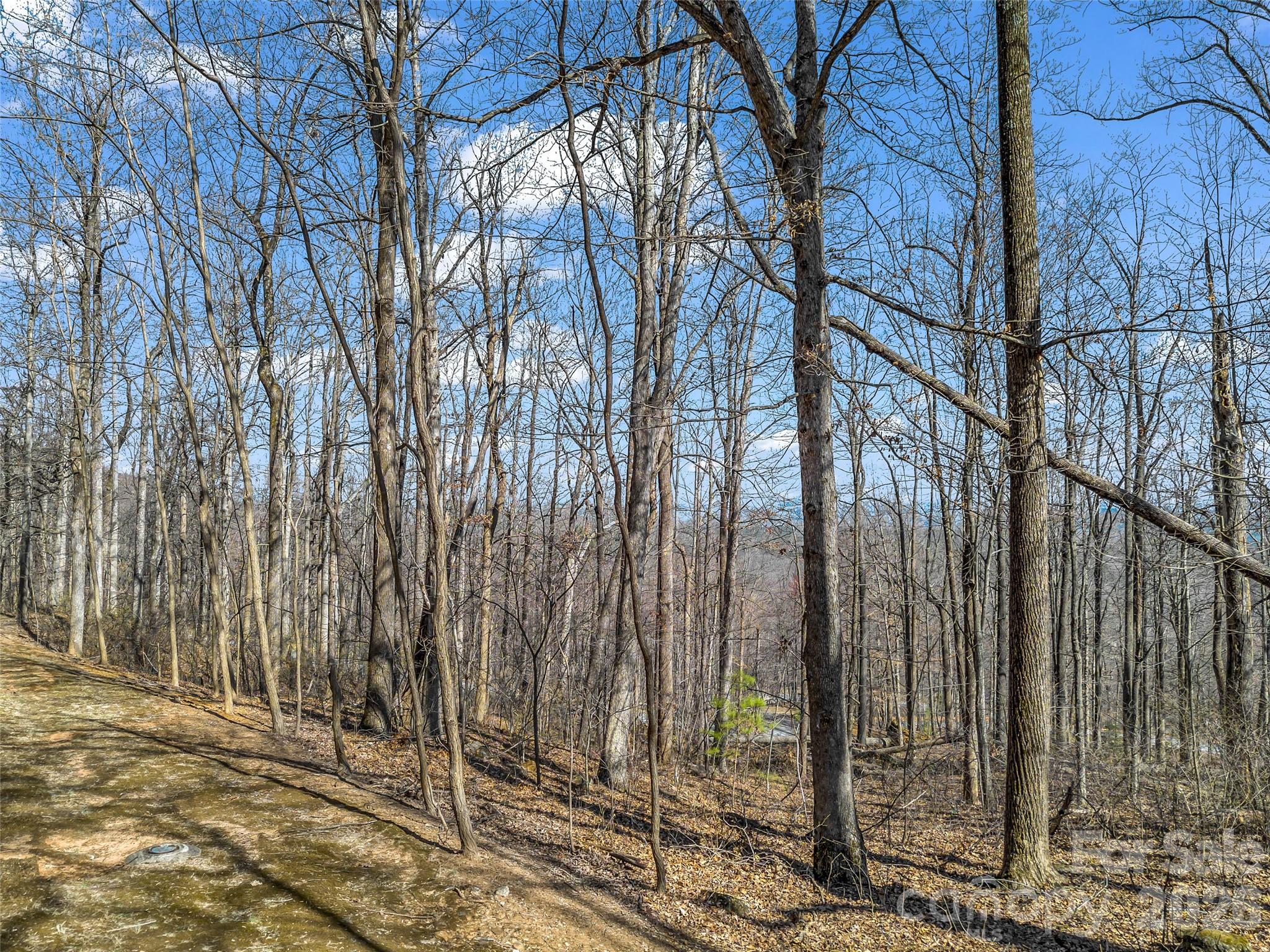 183 Chesterfield Drive, Unit 183 Mill Spring, NC 28756 - Photo 6 of 35 a view of a backyard of the house