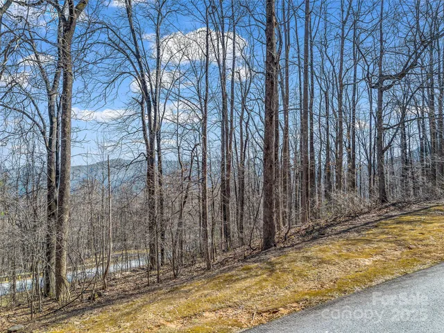 a view of a dry yard with trees