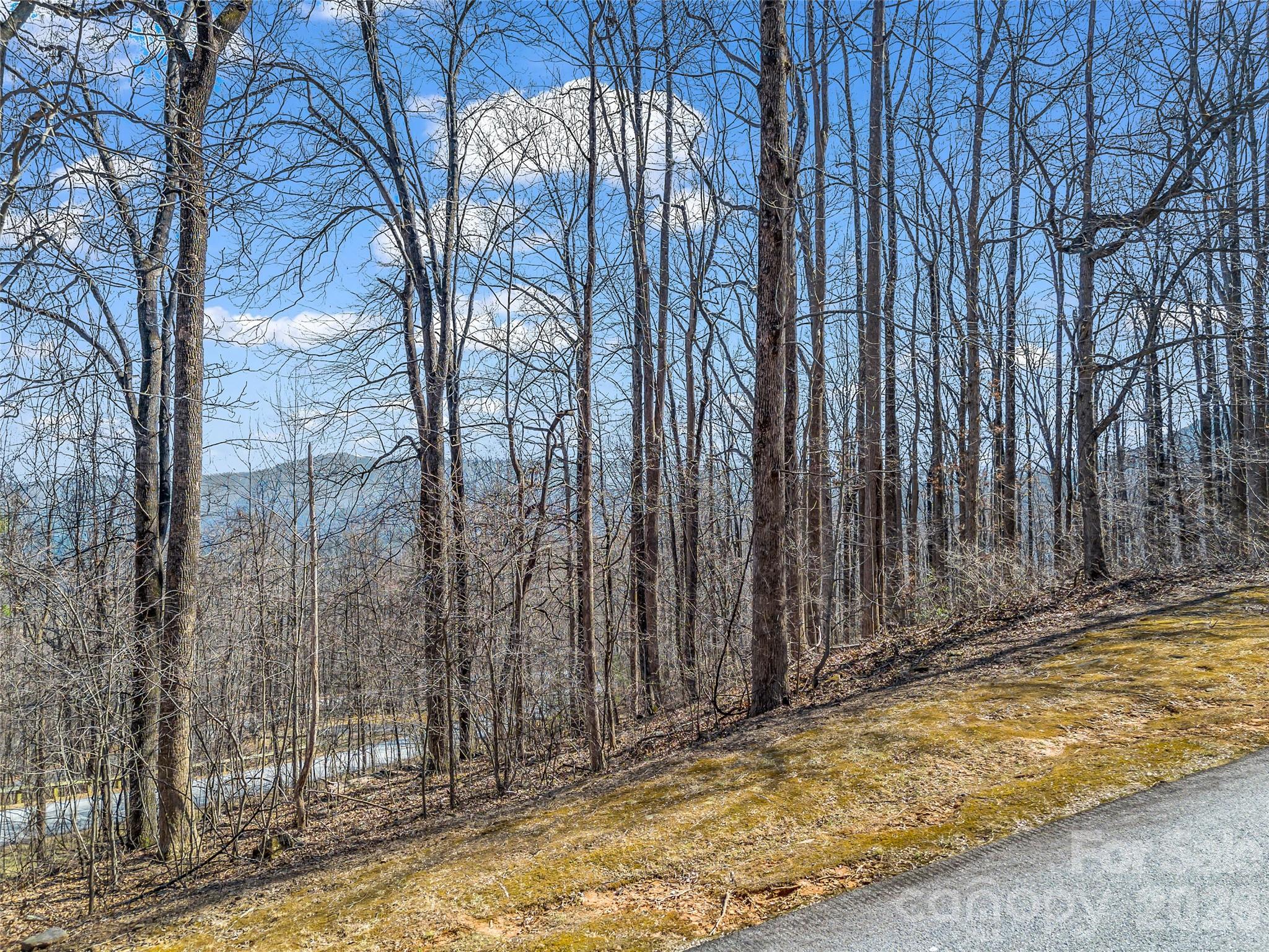 183 Chesterfield Drive, Unit 183 Mill Spring, NC 28756 - Photo 7 of 35 a view of a backyard of the house