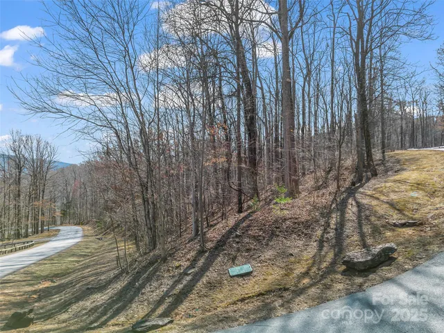 a view of a dry field