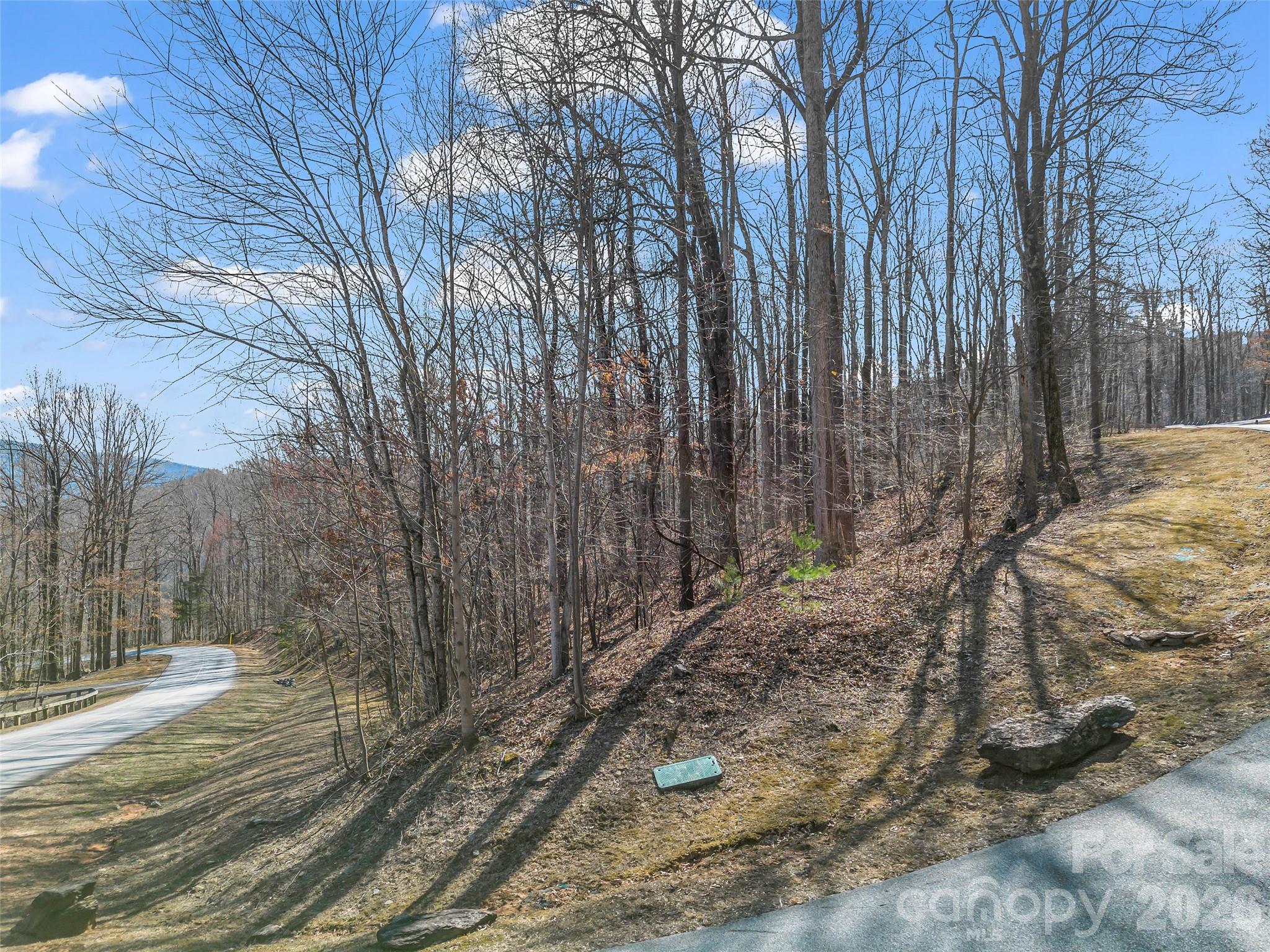 183 Chesterfield Drive, Unit 183 Mill Spring, NC 28756 - Photo 8 of 35 a view of a backyard of the house