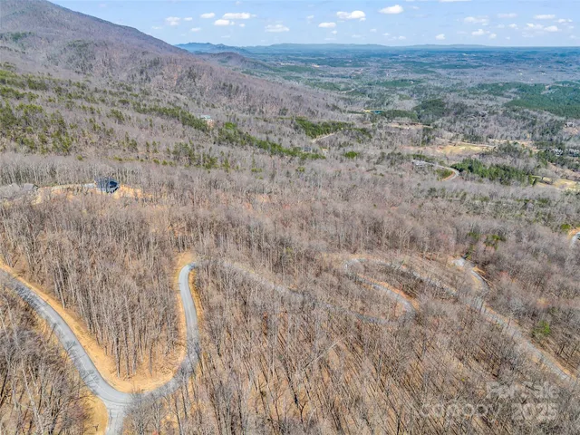 a view of a dry yard