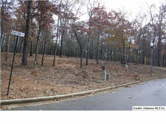 Peyton Place, Unit 3 Weaver, AL 36277 - Photo 13 of 40