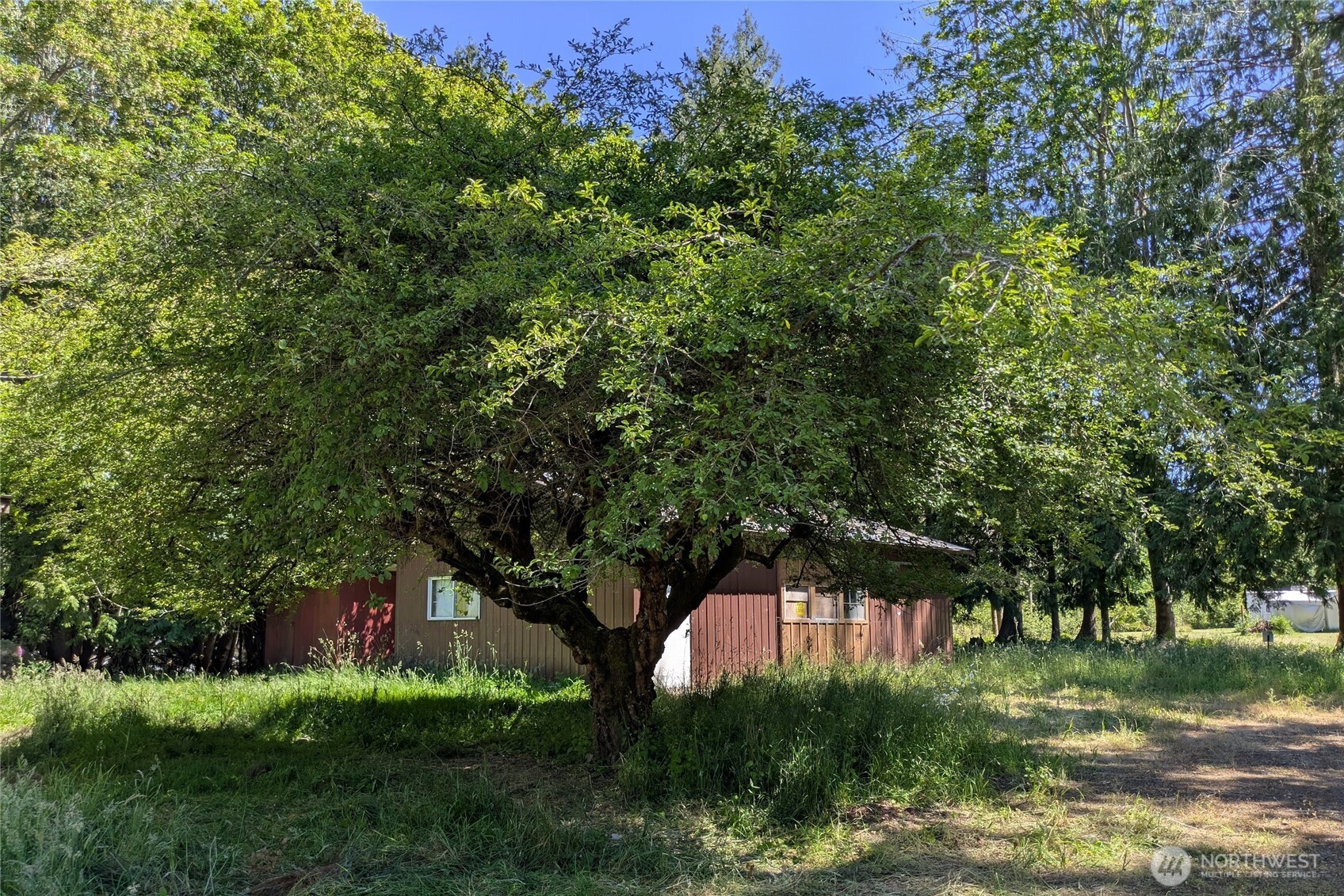 1082 Taylor Cutoff Road Sequim, WA 98382 - Photo 24 of 25