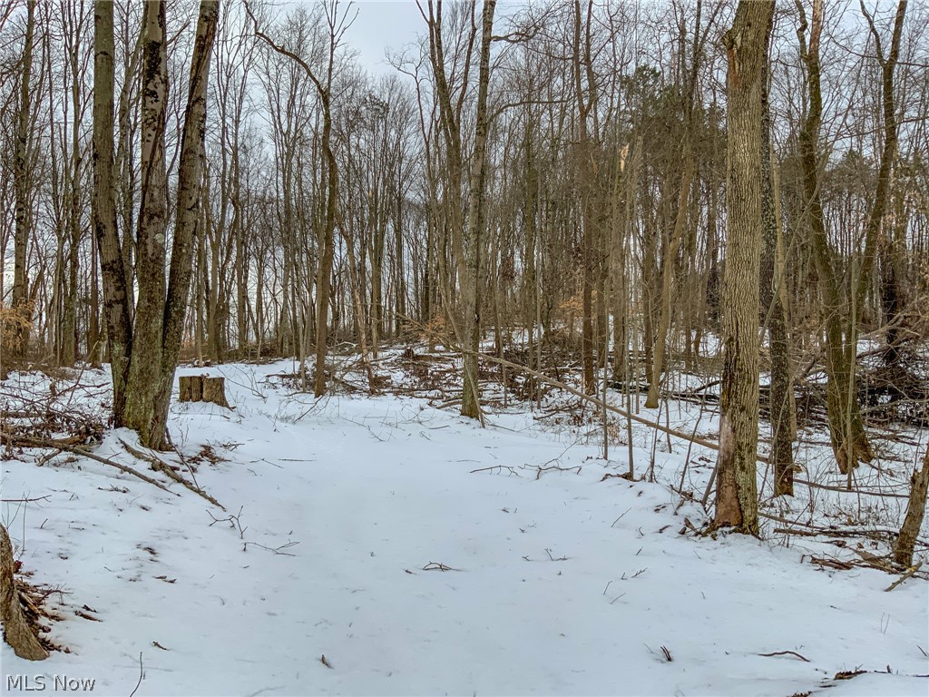 0 Lookout Road Lancaster, OH 43130 - Photo 19 of 35