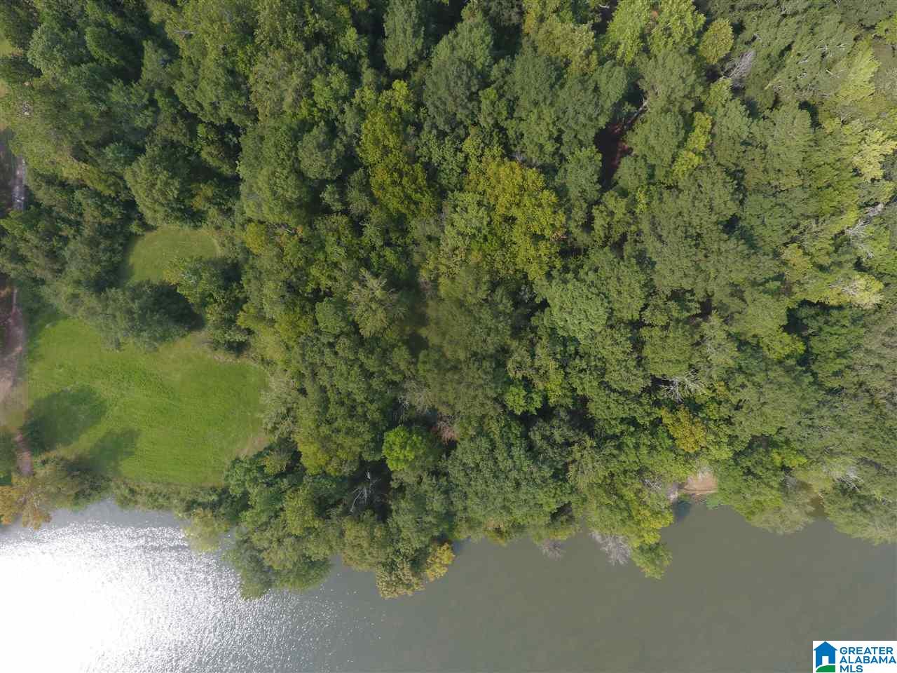 0 Brooks Road Ragland, AL 35131 - Photo 9 of 49