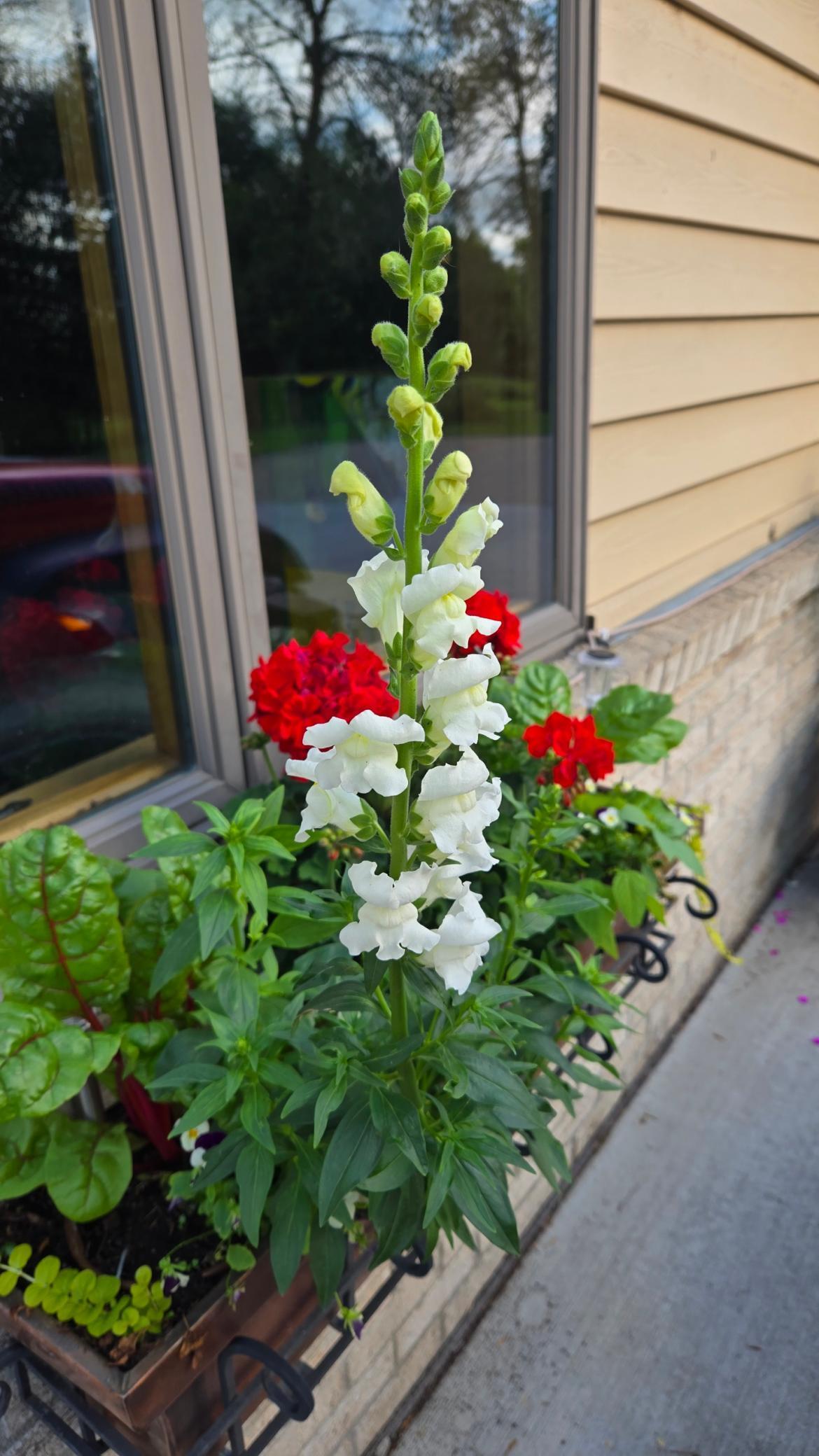 1235 North Sutton Lake Boulevard Jordan, MN 55352 - Photo 81 of 108