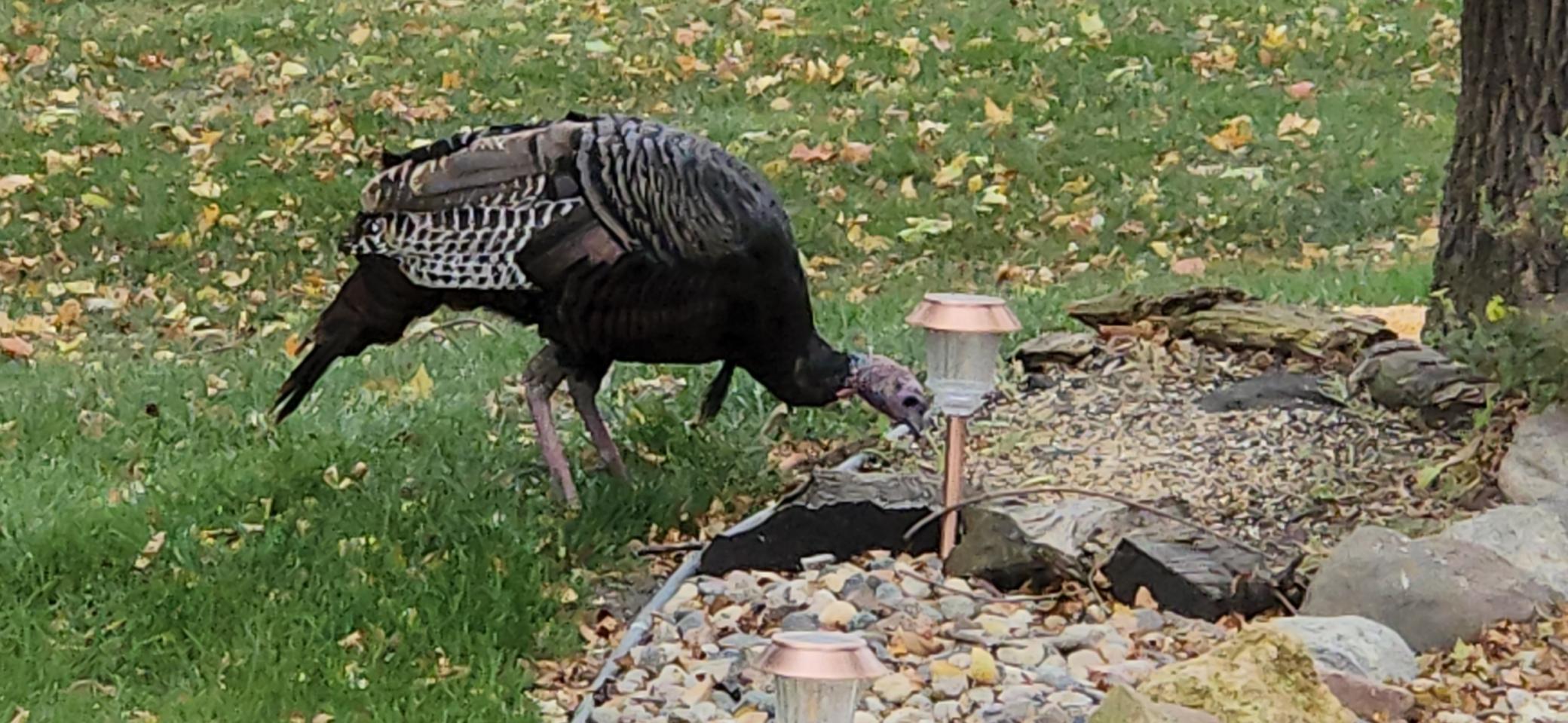 1235 North Sutton Lake Boulevard Jordan, MN 55352 - Photo 86 of 108