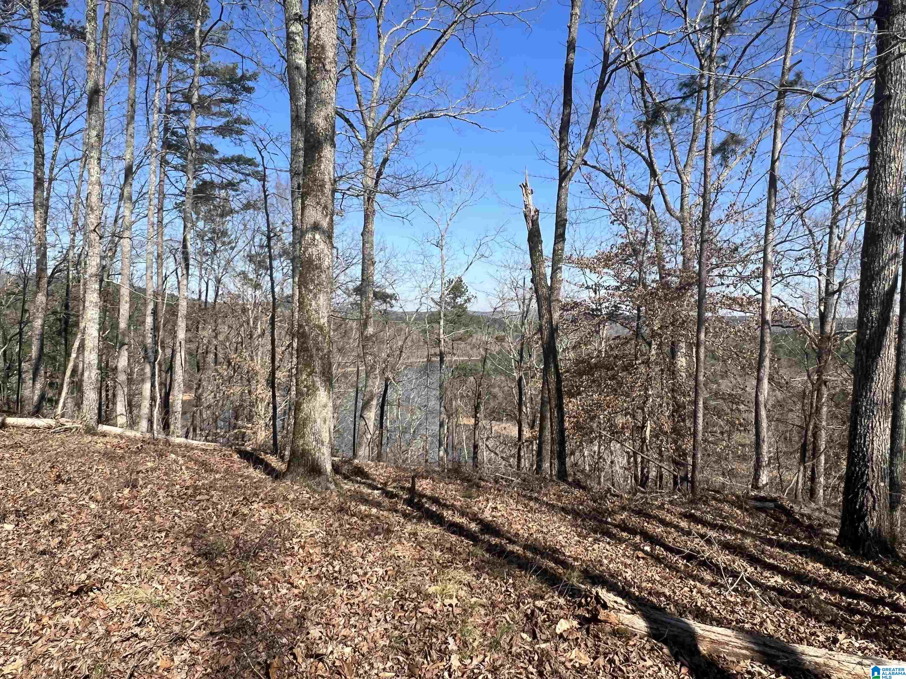 0 County Road 2811, Unit 1 Lineville, AL 36266 - Photo 8 of 13