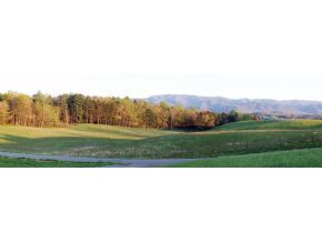 705 Barren Valley Road, Unit 1 Chuckey, TN 37641 - Photo 16 of 16 Photo 16
