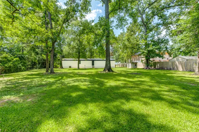 a view of a park with a tree