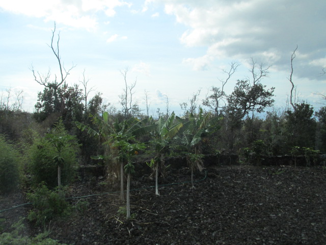 92-8522 Trade Wind Boulevard Ocean View, HI 96704 - Photo 11 of 21