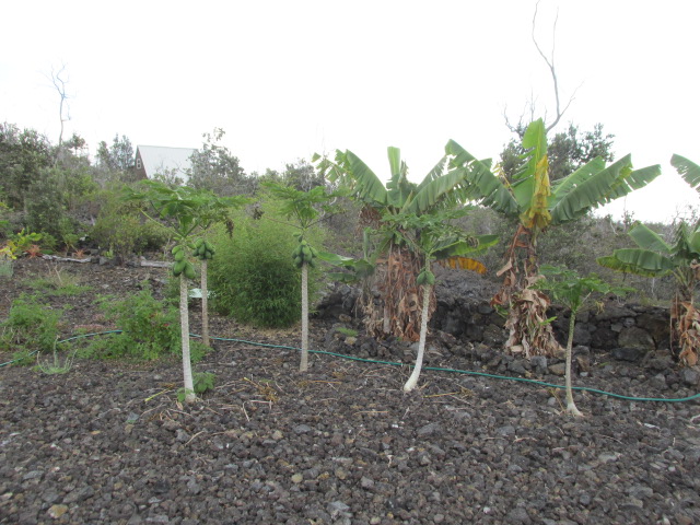 92-8522 Trade Wind Boulevard Ocean View, HI 96704 - Photo 12 of 21