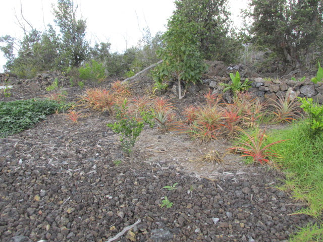 92-8522 Trade Wind Boulevard Ocean View, HI 96704 - Photo 14 of 21