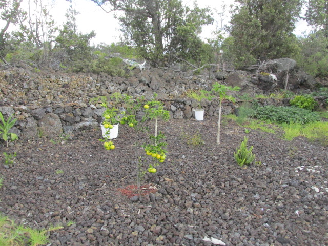 92-8522 Trade Wind Boulevard Ocean View, HI 96704 - Photo 15 of 21