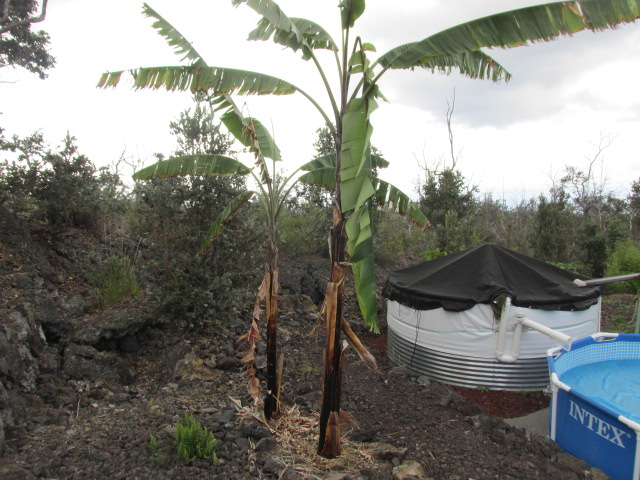 92-8522 Trade Wind Boulevard Ocean View, HI 96704 - Photo 16 of 21