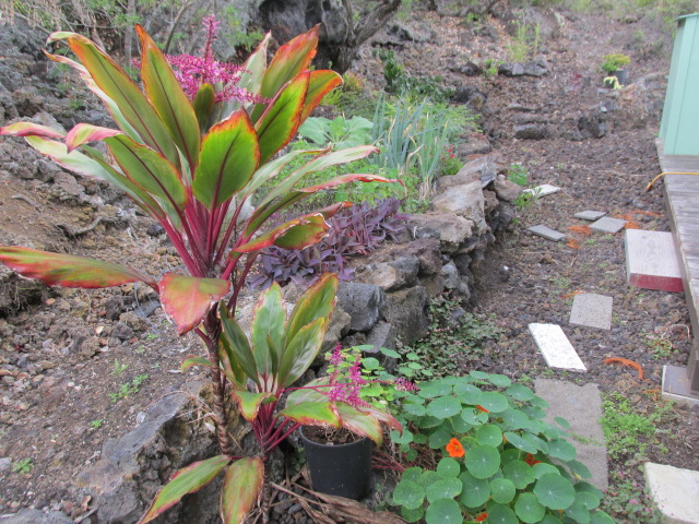 92-8522 Trade Wind Boulevard Ocean View, HI 96704 - Photo 19 of 21