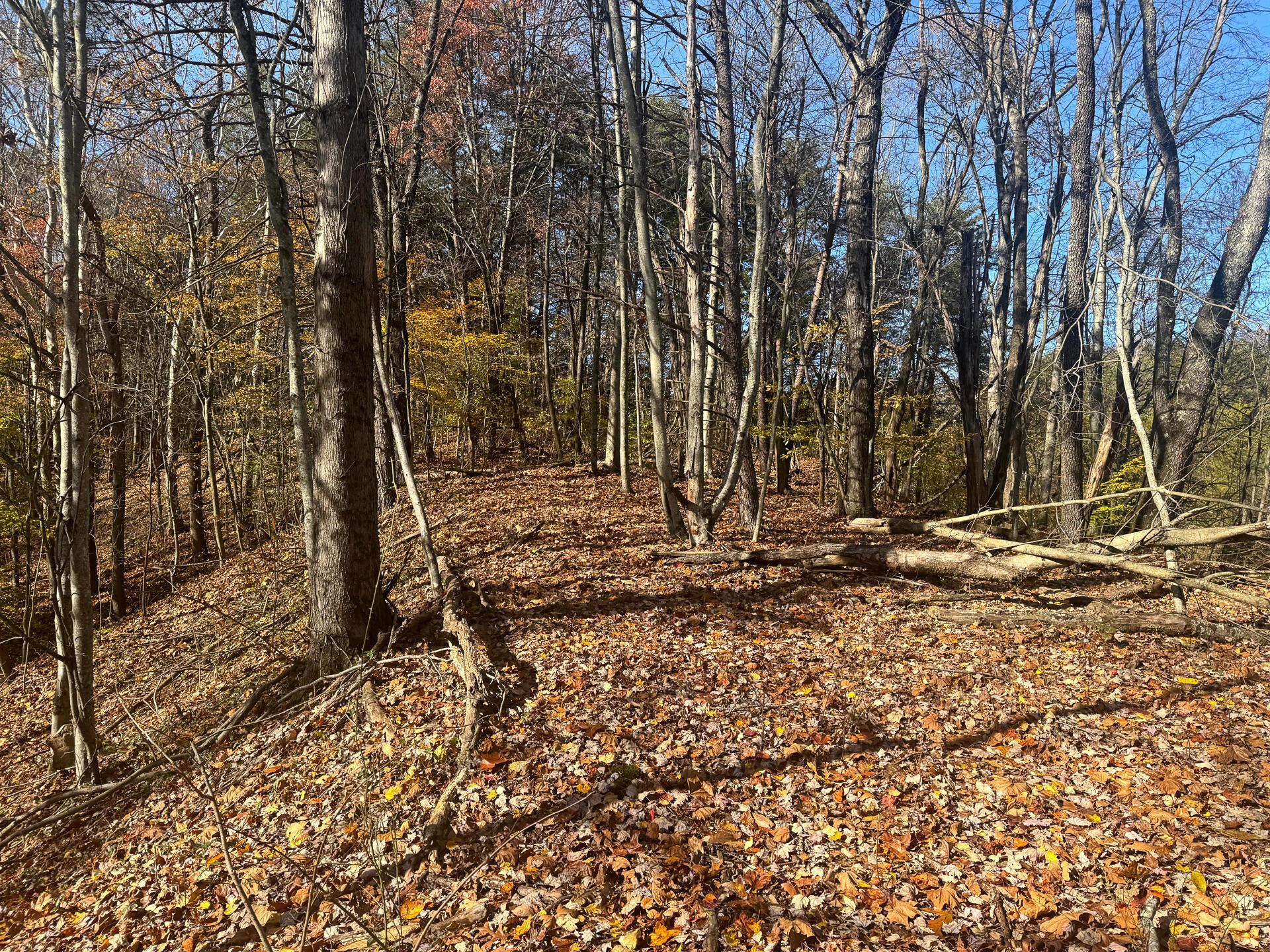 830 Nibert Road, Unit PONDS POPLAR RIDGE TRACT 3) Gallipolis, OH 45631 - Photo 11 of 23 CT-11