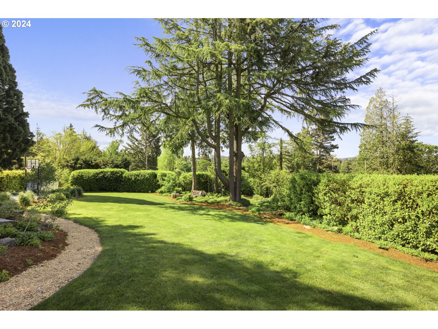 3029 Southwest Sunset Boulevard Portland, OR 97239 - Photo 2 of 48 a view of a park with large trees