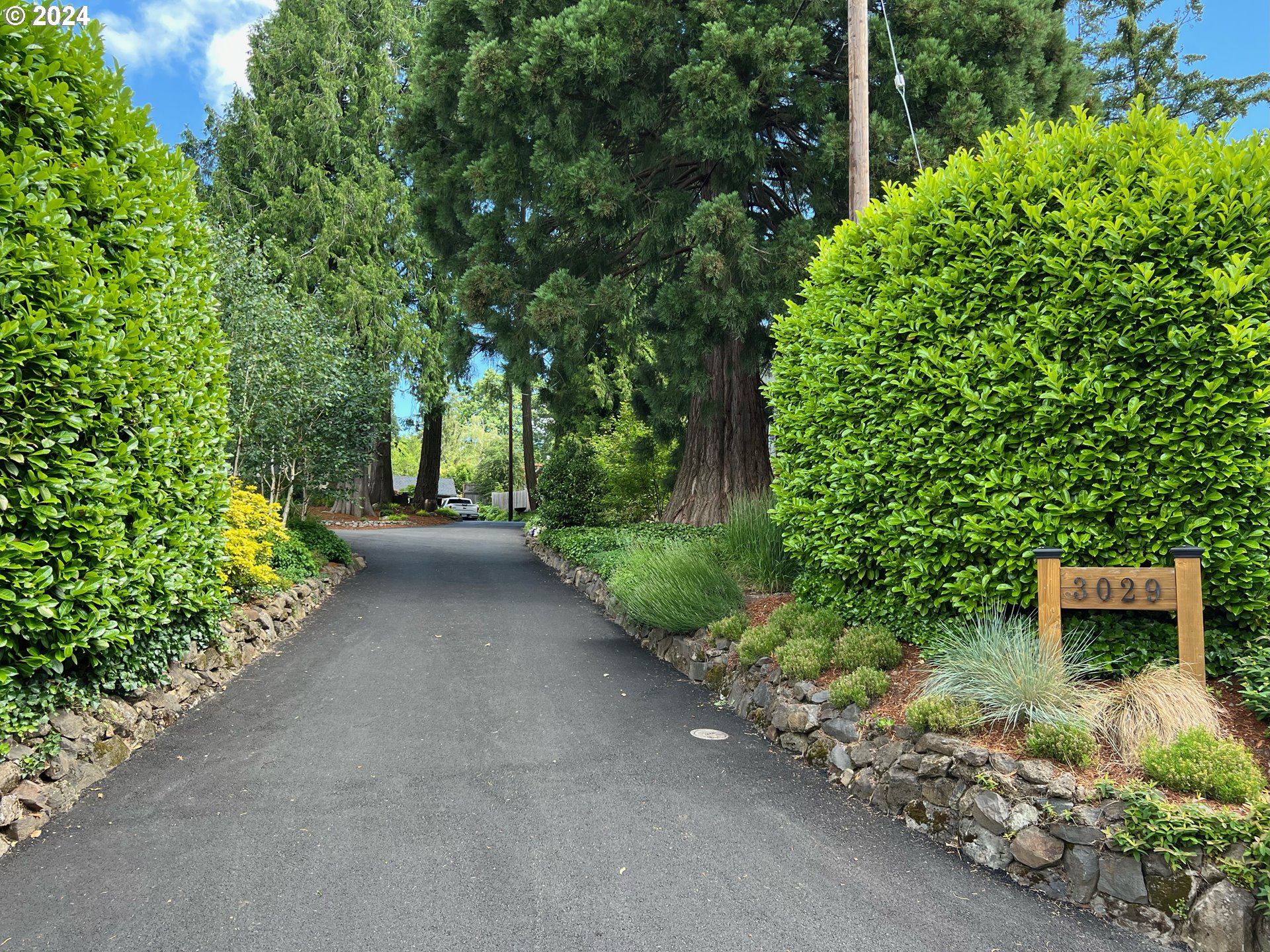 3029 Southwest Sunset Boulevard Portland, OR 97239 - Photo 45 of 48 a view of a garden with plants and large trees