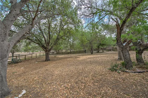 a view of a tree in the middle of a yard