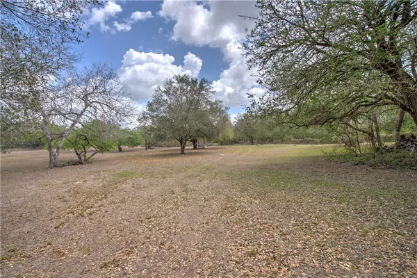 a view of dirt field with large trees