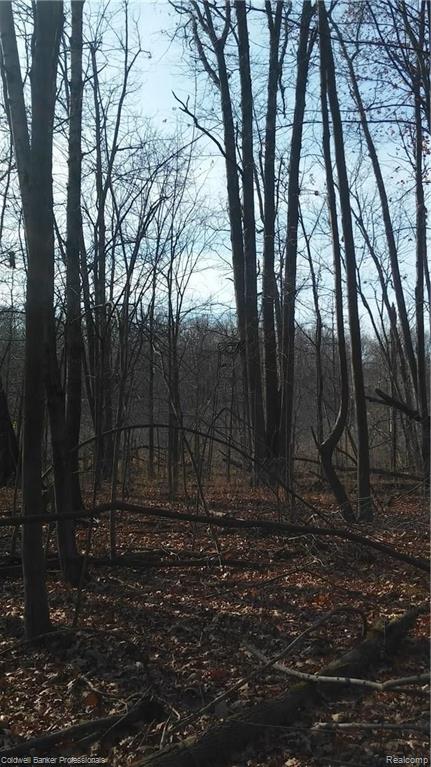 Eight West Eight Mile Road South Lyon, MI 48178 - Photo 15 of 58