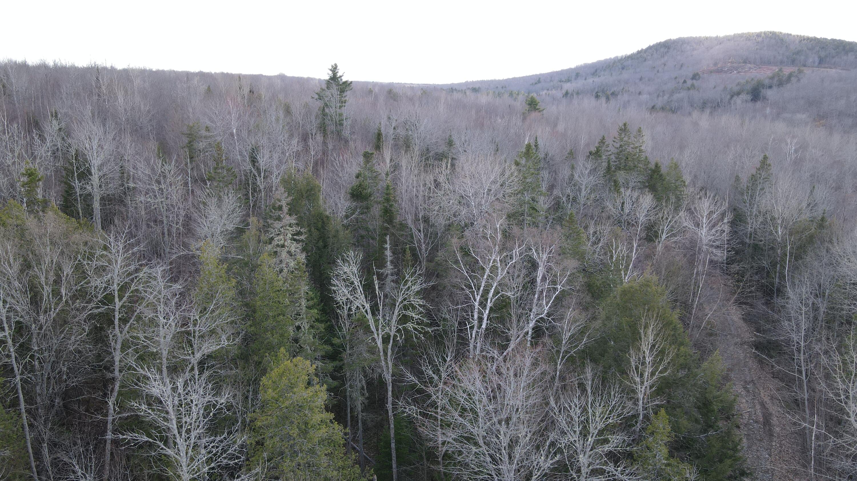 133 Rider Bluff Road Holden, ME 04429 - Photo 5 of 24 DJI_0259