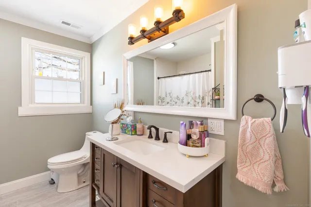 a bathroom with a sink vanity and a toilet