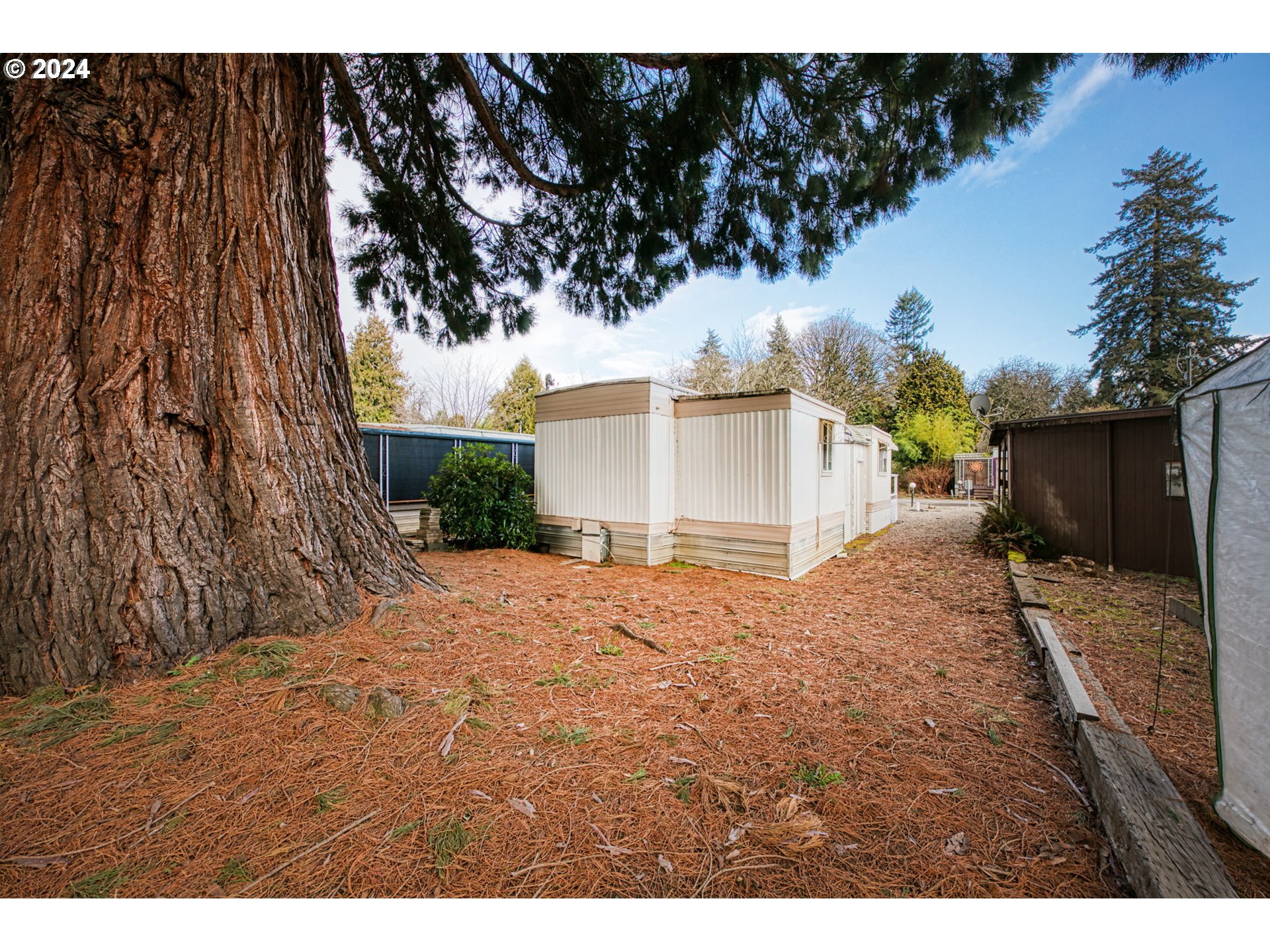 1625 Henderson Avenue Eugene, OR 97403 - Photo 19 of 20 a backyard of a house with a garage