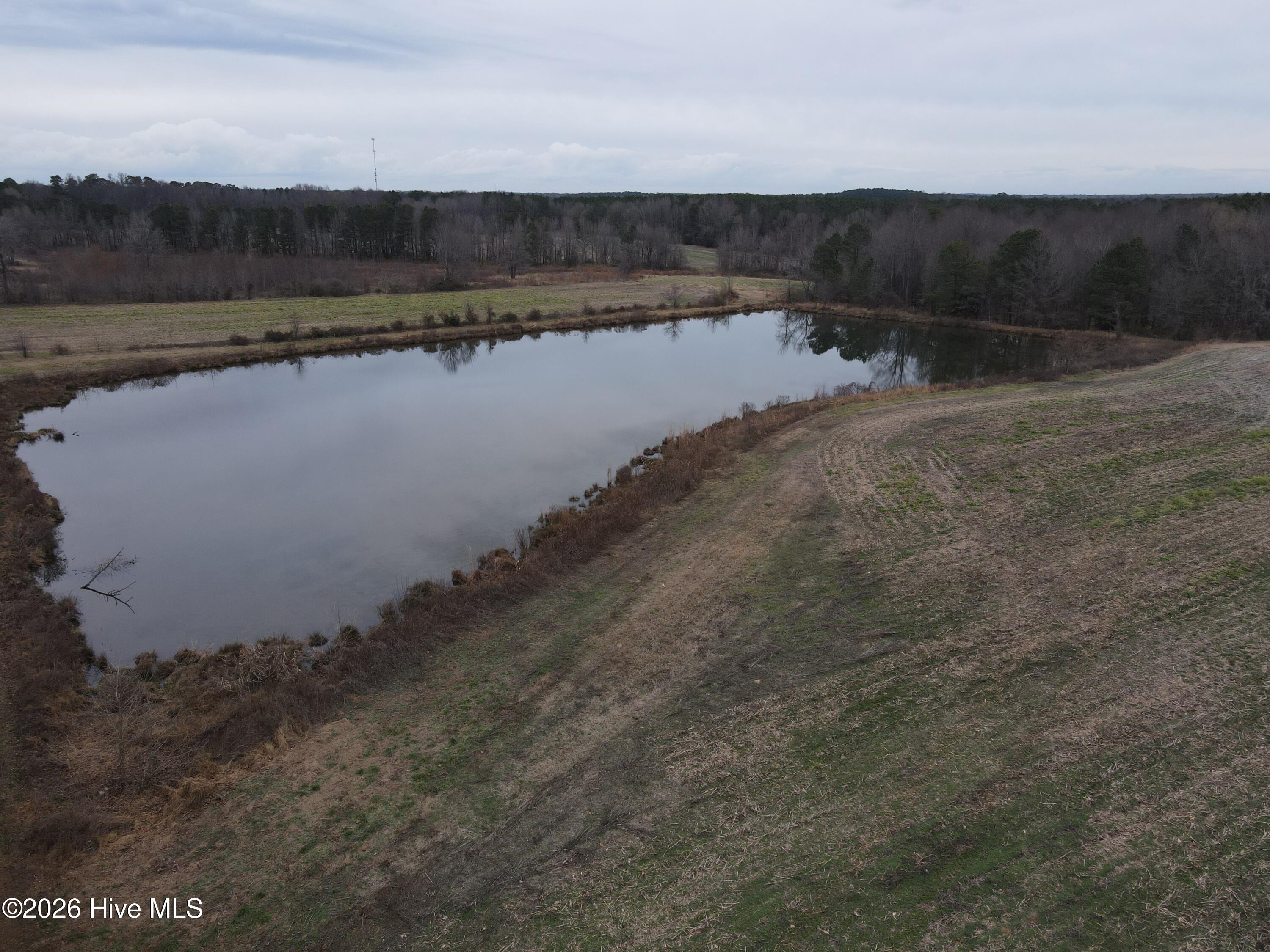 8201 Cedar Grove School Loop Road Nashville, NC 27856 - Photo 24 of 68 CG MLS 24