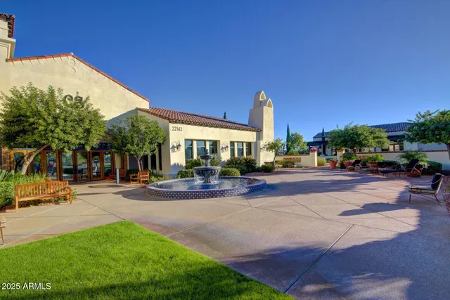 a view of a garden with a palm tree