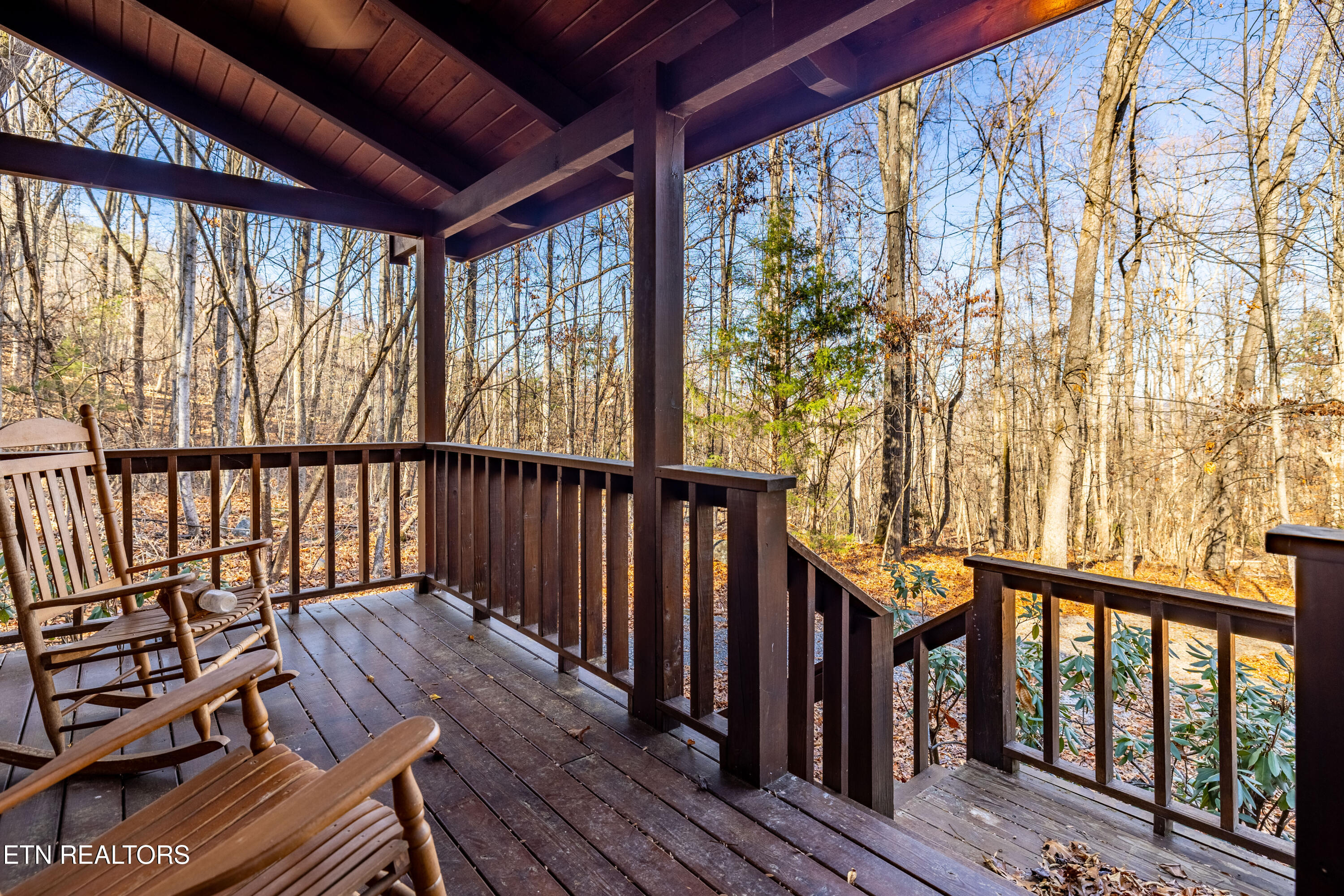 438 Forest Service Road Englewood, TN 37329 - Photo 26 of 30 438StarrMountainRd-11