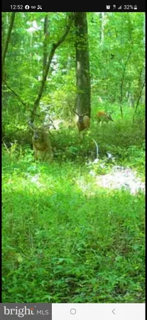 $100,000 | Big Woods Road, Ingleside, MD 21644